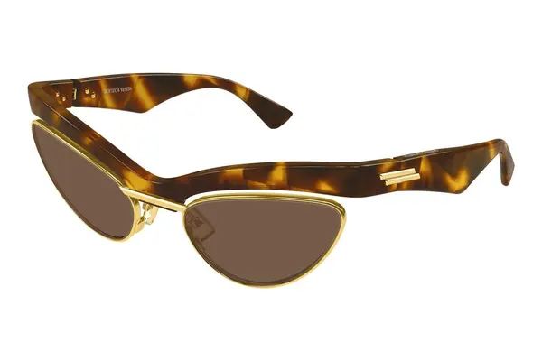 Bottega Veneta BV1480S 004