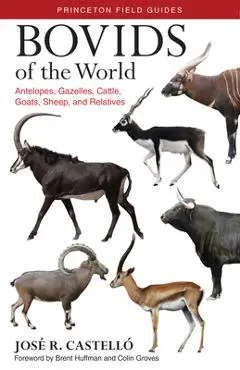 Bovids of the World: Antelopes, Gazelles, Cattle, Goats, Sheep, and Relatives - Jose R. Castello