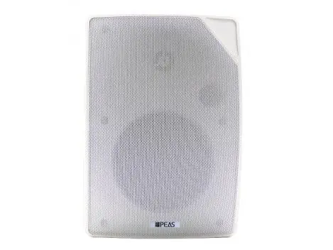 Boxa de perete public adress 40W RMS ALB, WS6040W
