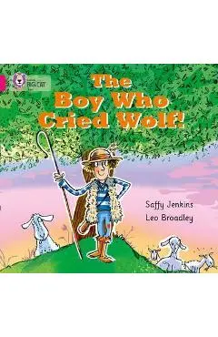 Boy who Cried Wolf