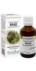 BRAD - muguri - gemoderivat - 50ml - PlantExtrakt