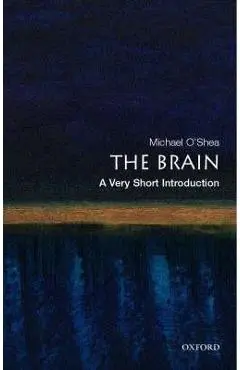 Brain: A Very Short Introduction