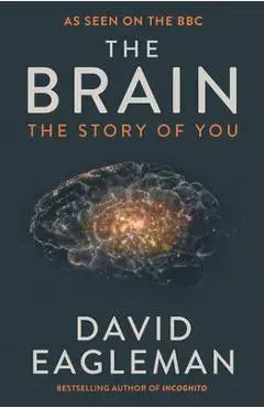 Brain