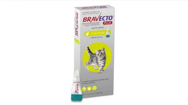Bravecto Plus Spot On Cat 112.5 mg (1.2 - 2.8 kg), 1 pipeta - Termen scurt 5-2026