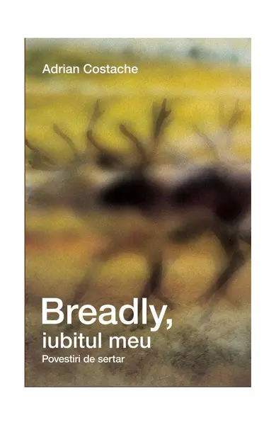 Breadly, iubitul meu. Povestiri de sertar - Adrian Costache