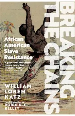Breaking the Chains: African-American Slave Resistance - William Loren Katz