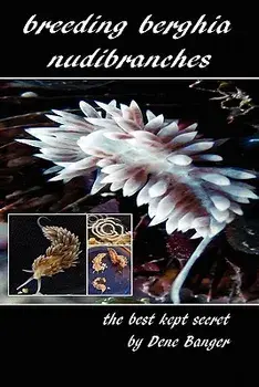 Breeding Berghia Nudibranches the Best Kept Secret, Paperback/Dene Banger