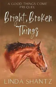 Bright, Broken Things: Good Things Come Book 0.5 (A Prequel), Paperback/Linda Shantz