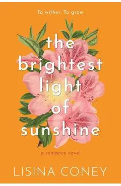 Brightest Light of Sunshine - Lisina Coney