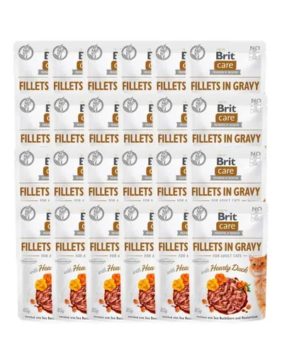 BRIT Care Fillets in gravy Set hrana umeda pentru pisici, cu rata in sos 24 x 85 g
