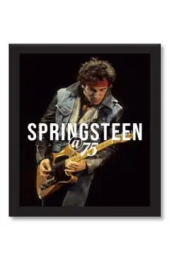Bruce Springsteen at 75 - Gillian G. Gaar