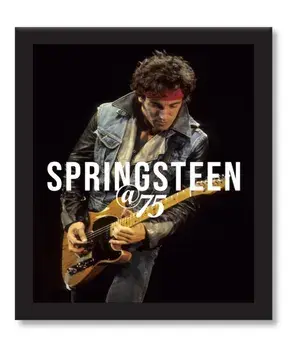Bruce Springsteen at 75, Hardback/Gillian G. Gaar