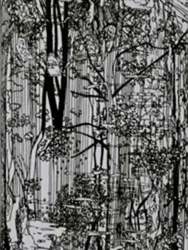 Bucherwald, Paperback/Ingo Giezendanner