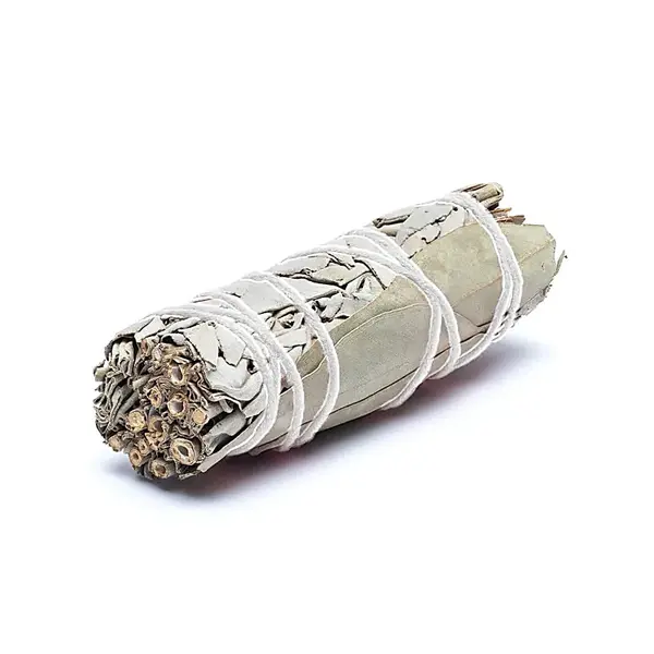Buchet de salvie albă cu eucalipt