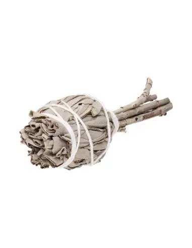 Buchet Salvie Alba Torta 12 * 4 cm White Sage