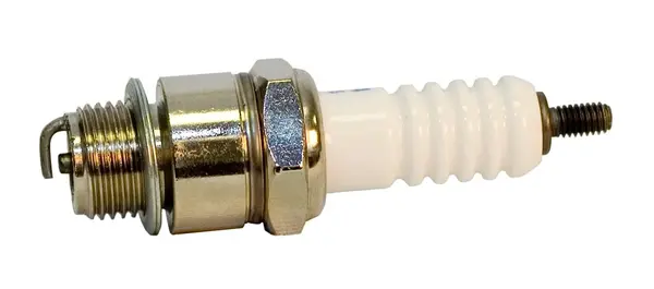 Bujie BorgWarner (BERU) Z243