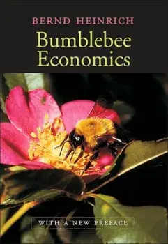 Bumblebee Economics. With a New Preface, Revised Edition, Paperback/Bernd Heinrich