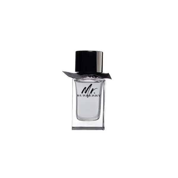 Burberry Mr Burberry Apă de toaletă pentru Bărbați Tester EDT Volum 100 ml