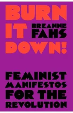 Burn It Down!: Feminist Manifestos for the Revolution - Breanne Fahs