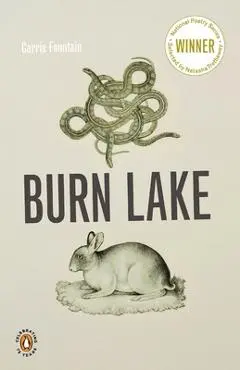 Burn Lake - Carrie Fountain