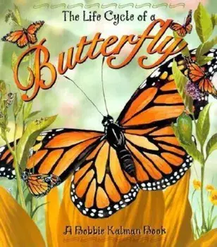 Butterfly, Paperback/Bobbie Kalman