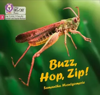 Buzz, Hop, Zip!. Phase 2, Paperback/Samantha Montgomerie