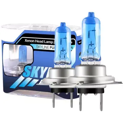 BZRSH Set 2 Becuri Halogen H7 Xenon Look 12V 55W 5000K Lumina Alba