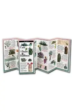 Cacti of the Desert Southwest - Madeline Logowitz
