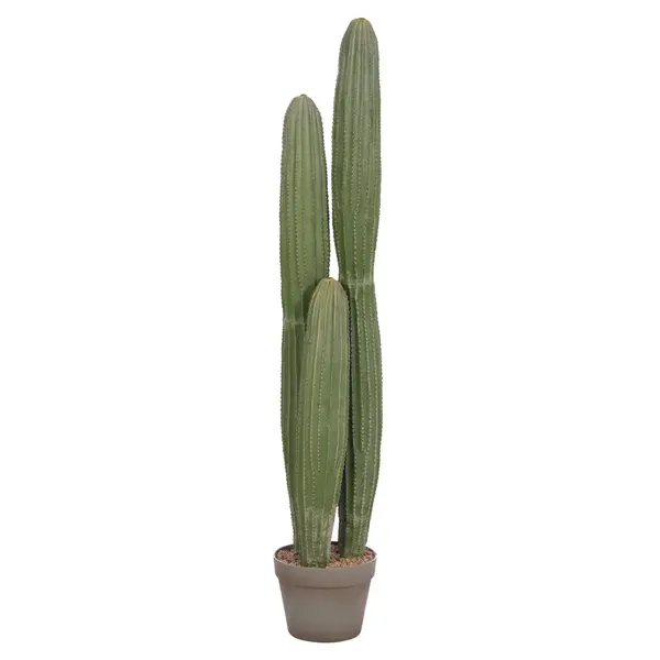 Cactus MARVIN 105 CM - Default Title