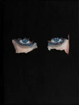 Cages: The Paintings of Sandra Chevrier, Hardcover/Sandra Chevrier