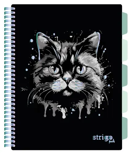 Caiet cu Spirala si Separatoare Strigo Pads Project Book PISICA A4, Dictando