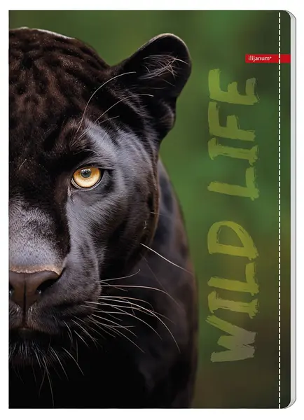 Caiet Ilijanum Wild Life - A4, 60 foi, linii largi, sortiment