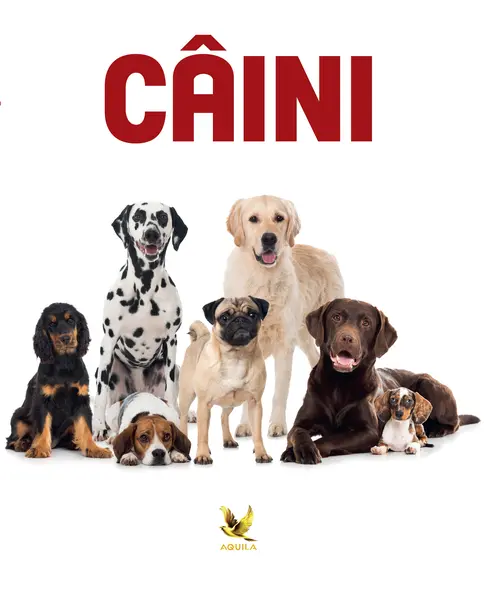 Caini |