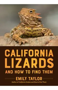 California Lizards and How to Find Them - Emily Taylor
