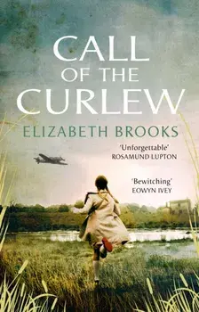 Call of the Curlew, Paperback/Elizabeth Brooks