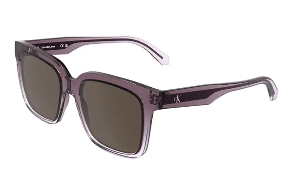 Calvin Klein Jeans CKJ25624S 665