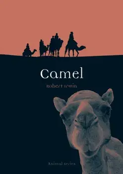 Camel, Paperback/Robert Irwin