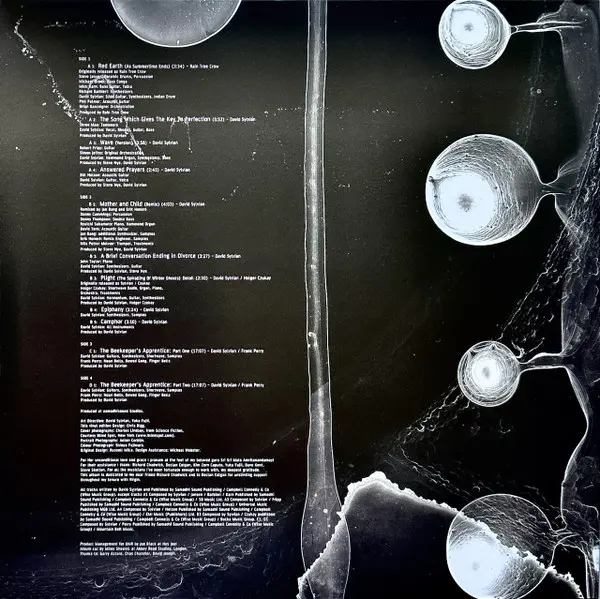 Camphor II - White Vinyl | David Sylvian