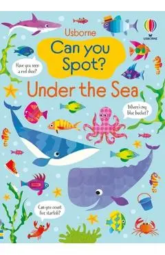 Can You Spot? Under the Sea - Kirsteen Robson