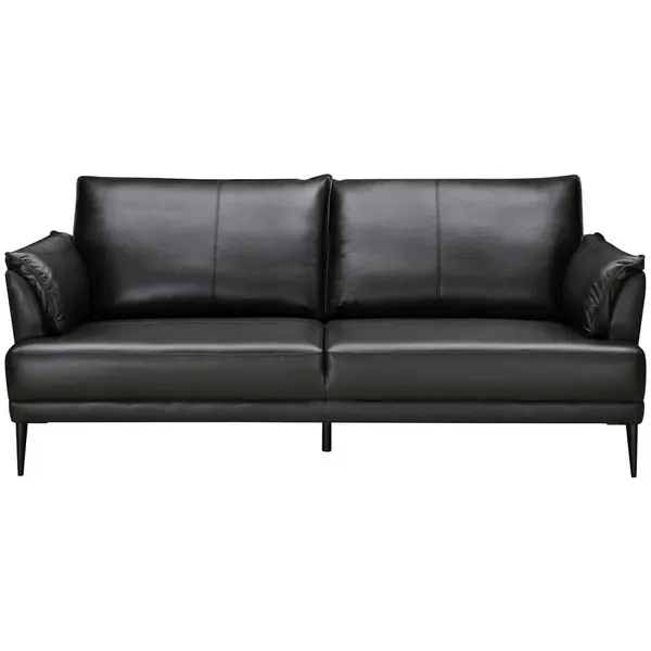 Canapea Cu 2 Locuri, textil, piele, negru