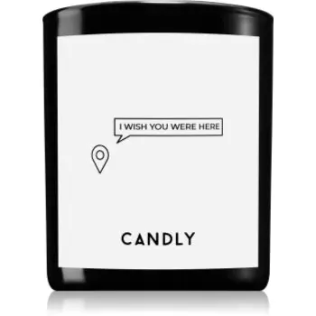 Candly & Co. I wish you were here lumânare parfumată