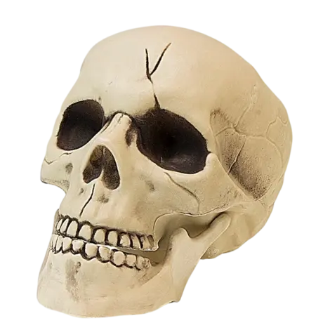 Cap schelet 21 cm