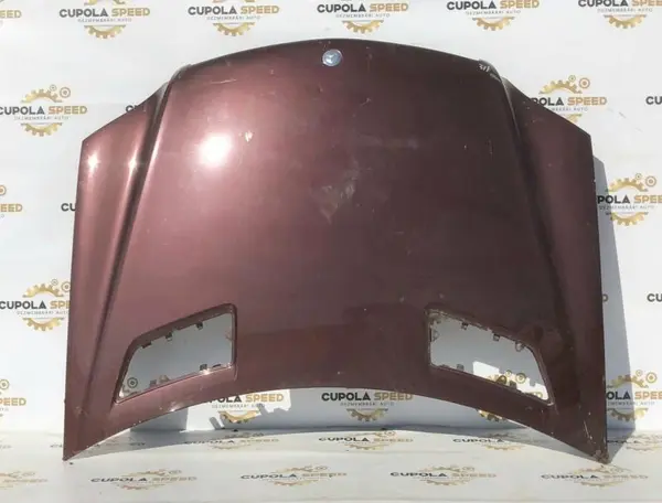 Capota motor Mercedes ML (2006-2011)[w164]