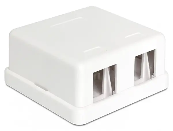 Carcasa Keystone perete 2 Porturi alb, Delock 86207