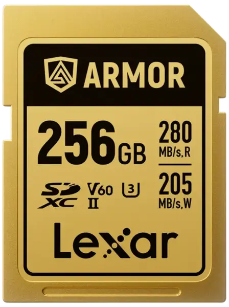 Card de memorie Lexar ARMOR Gold LSDAMGL256G-RNNNG, 256GB, SDXC, UHS-II U3, V60, Inox, IP68