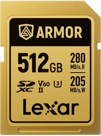 Card de memorie Lexar - Professional Armor Gold, 512GB, UHS-II, C10 V60 U3