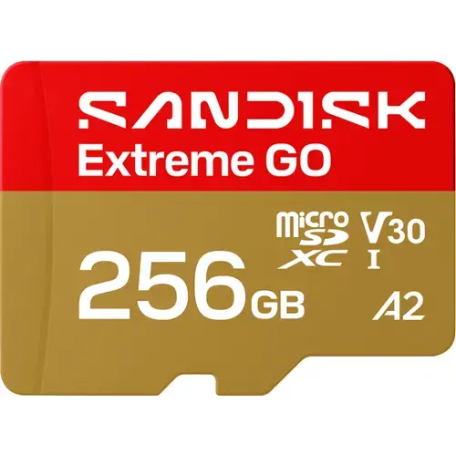 Card Memorie microSDXC SanDisk Extreme GO Android A2, 256Gb, Clasa 10 / UHS-1 U1