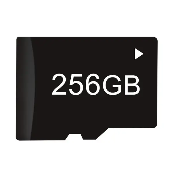 Card Micro SD pentru Camera Auto DDPAI, Clasa 10, 256GB, Viteza ridicata, DDPAI-256GB