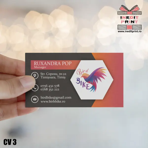 Carti de vizita personalizate CV3