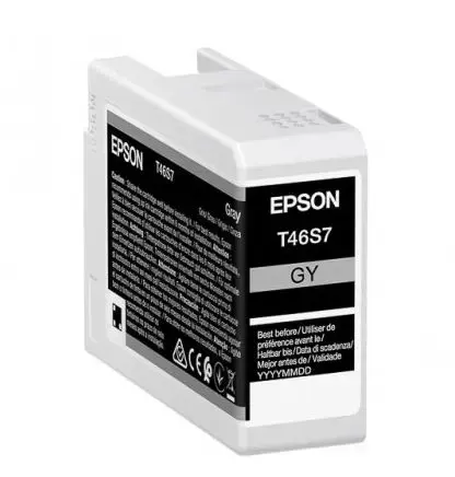 Cartus Cerneala Epson UltraChrome Pro 10 T46S7, 25 ml (Gri)